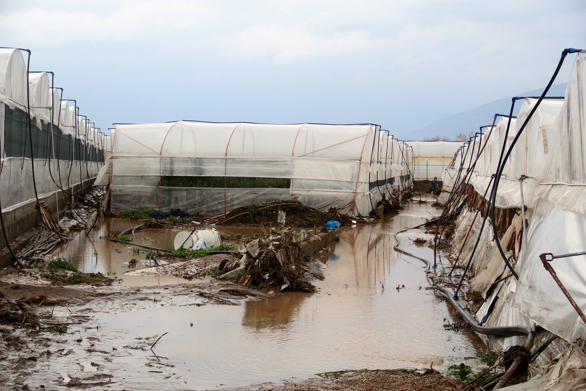 Kumluca'da sel yaklaşık 2 bin dönüm seraya zarar verdi