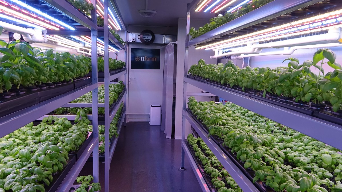 Konteynerde tarım dönemi