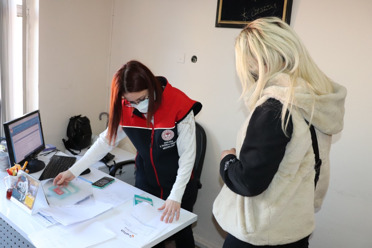 Yasaklı köpek ırkları için son güne girildi