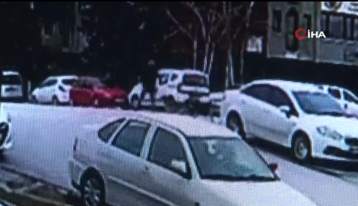 Çankaya sokaklarında sokak köpekleri dehşeti