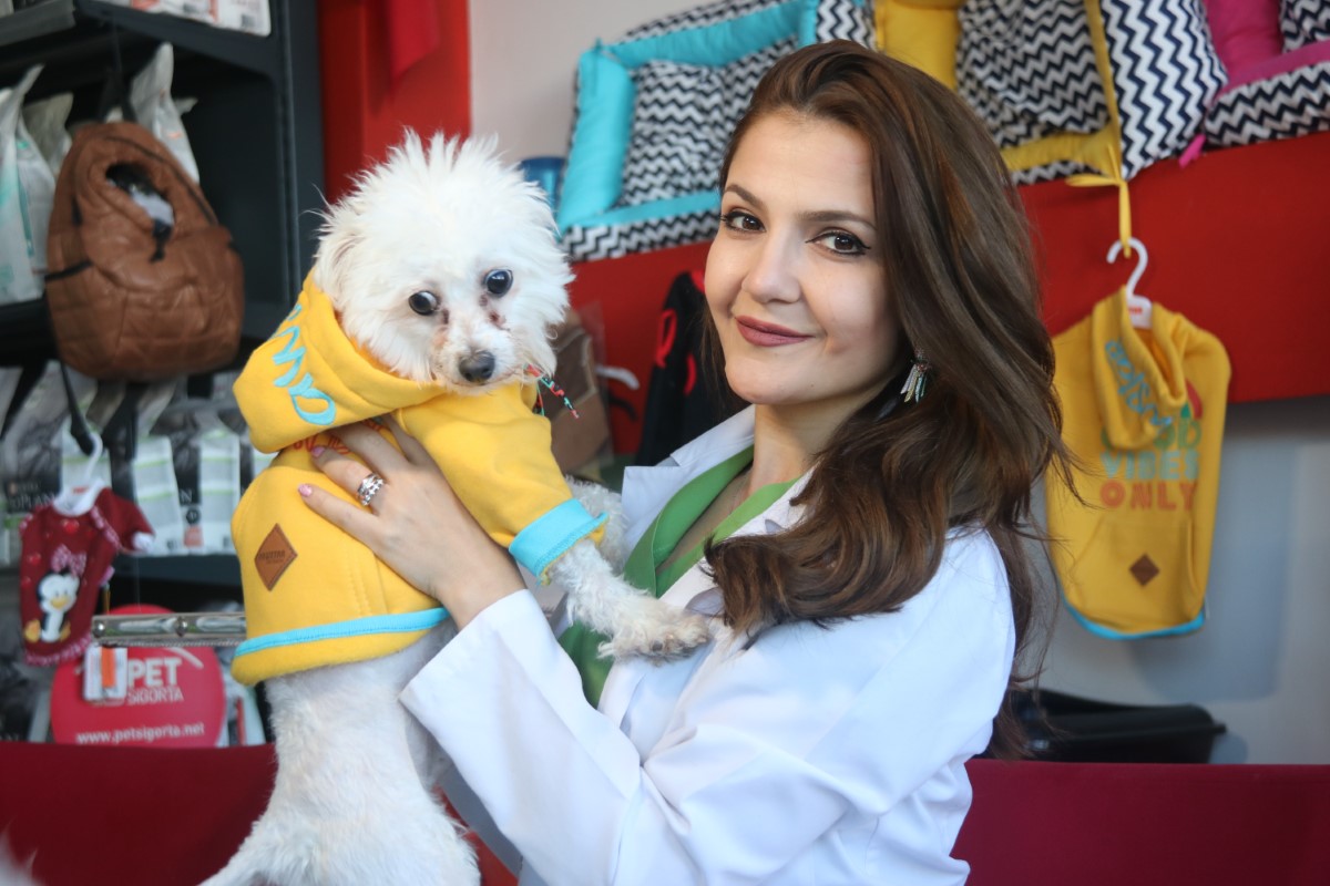 ‘Yasaklı ırk’ köpek sahipleri silah alamıyor, saldırgan köpek yetiştiriyor