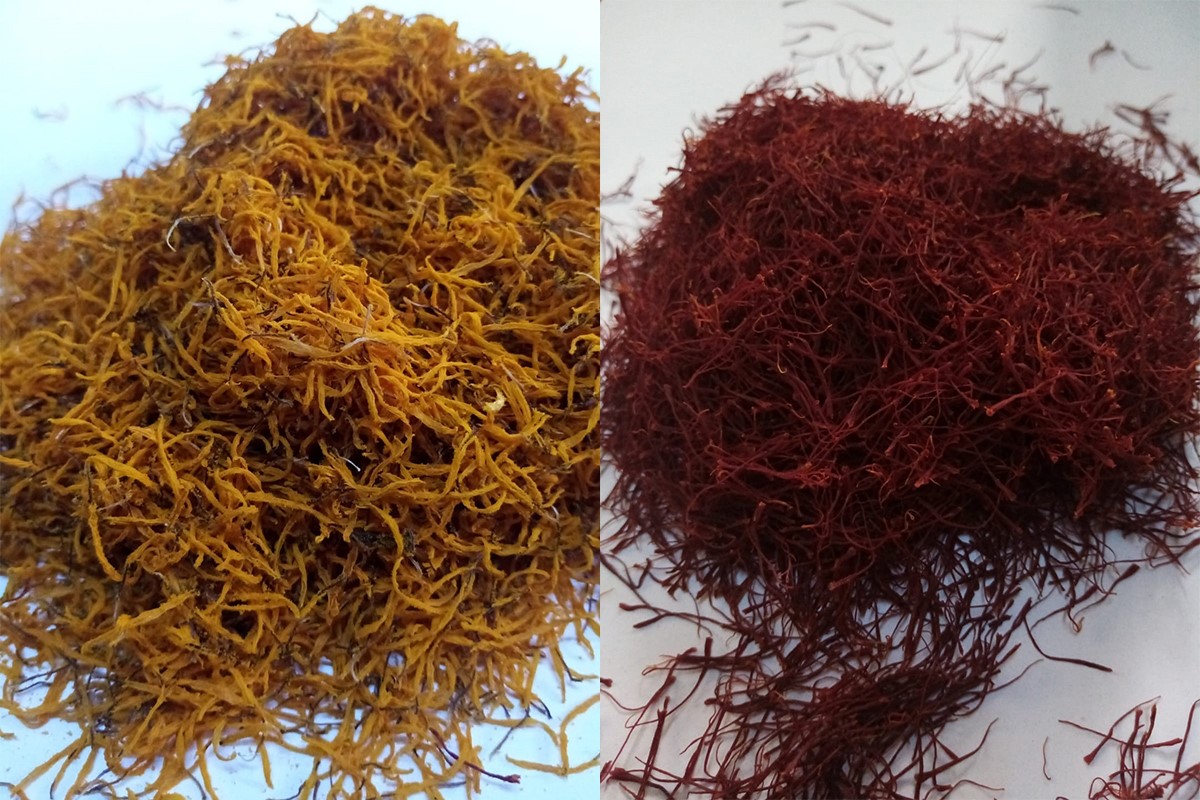 1 dönümden 1 kilo çıkıyor, kilosunu 90 bin liraya satıyor