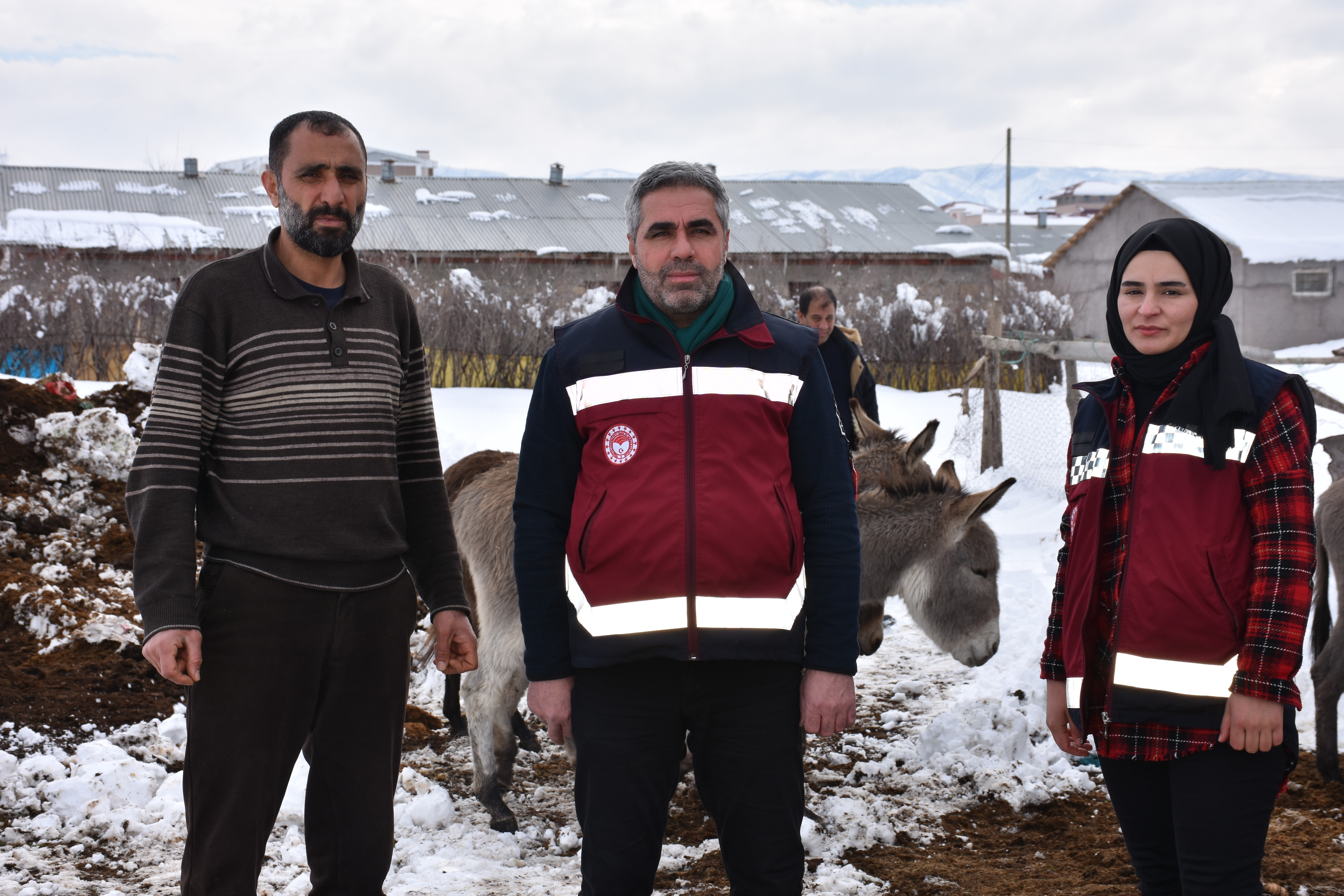 Bingöl'de kışın başıboş bırakılan eşekler kiralanan hana yerleştirildi