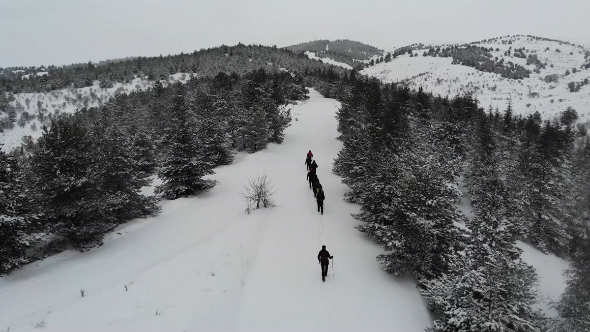 Karla kaplı kent ormanında doğa yürüyüşü