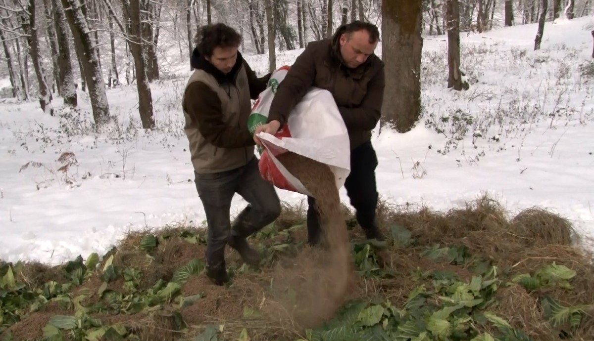 Ocak ayı içerisinde yaban hayvanları için doğaya 15 ton yem bırakıldı