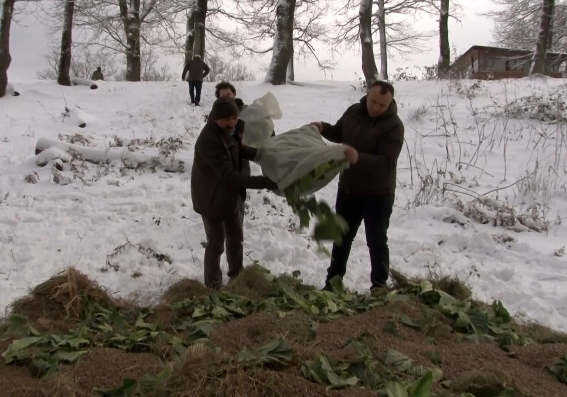 Ocak ayı içerisinde yaban hayvanları için doğaya 15 ton yem bırakıldı