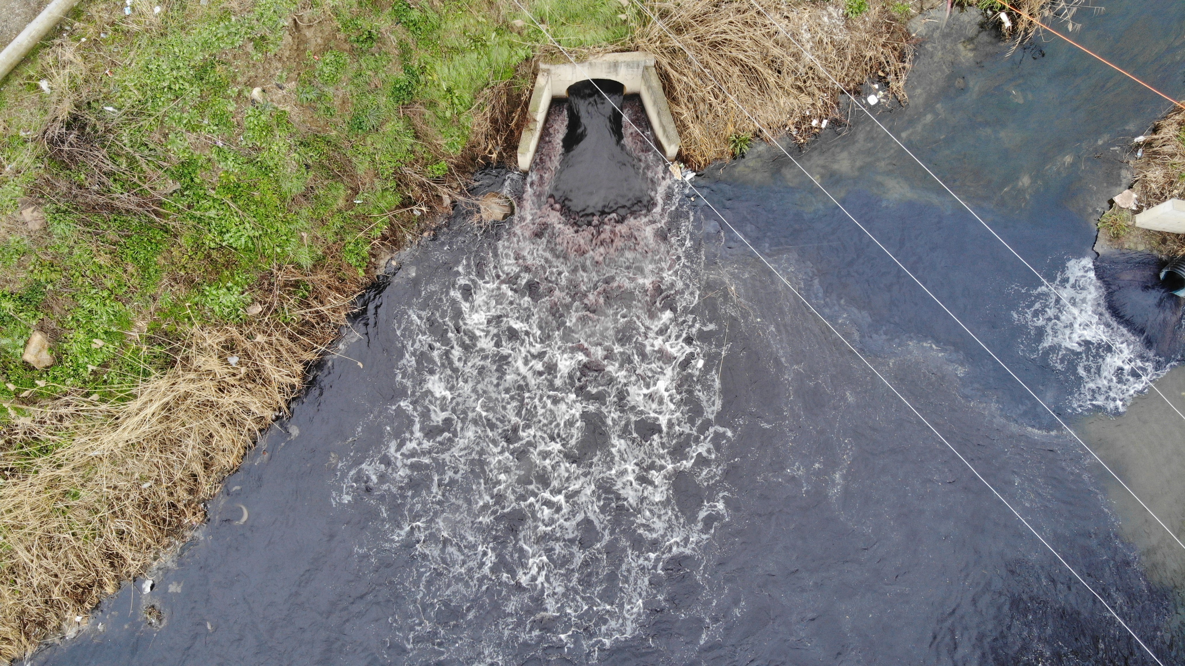 Bursa'da dereler zehir akıyor, bu yıl da müsilaj tehdidi kapıda