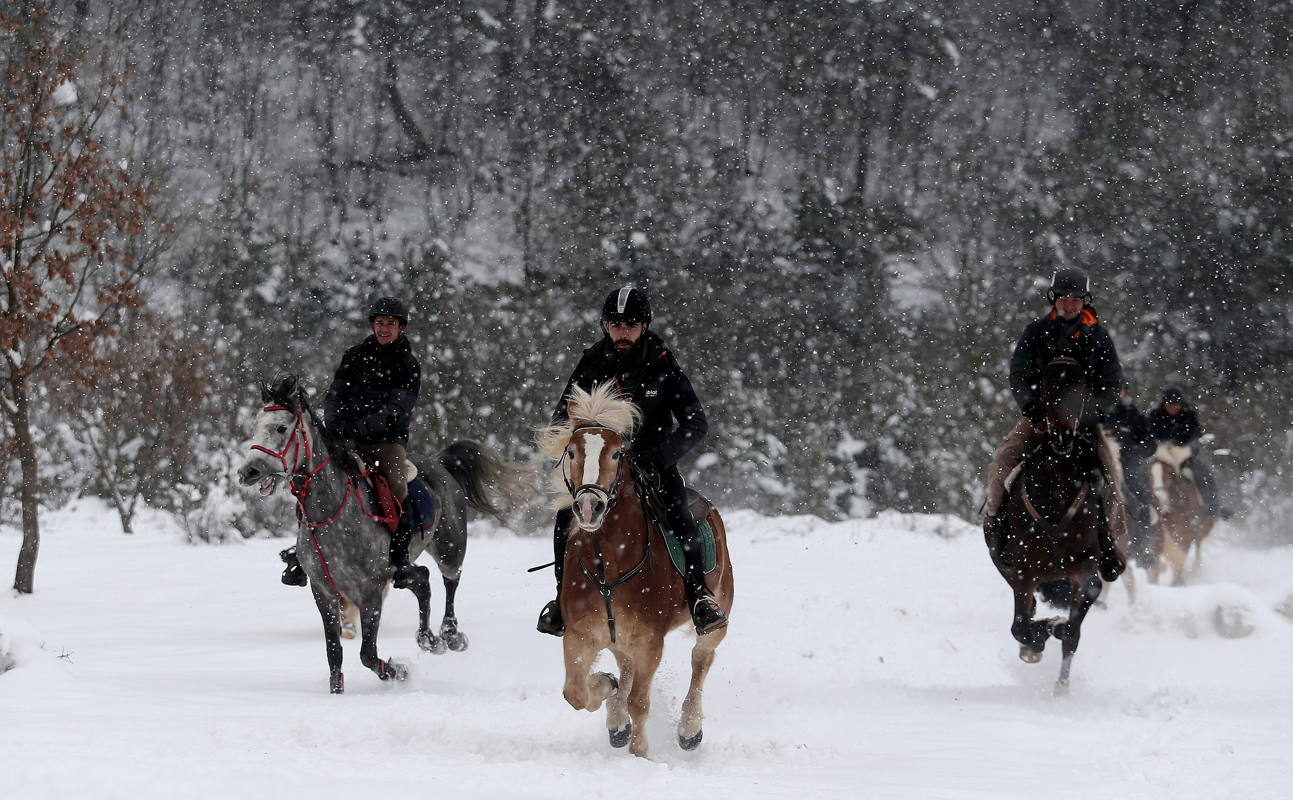 Karlar üstünde dört nala özgürlük