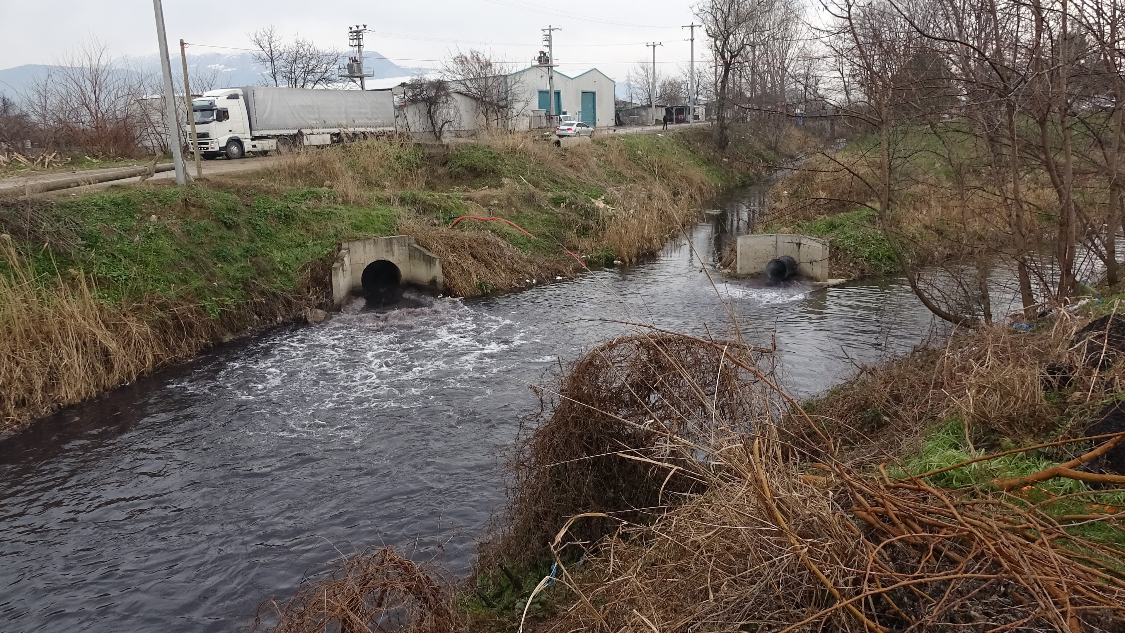 Bursa'da dereler zehir akıyor, bu yıl da müsilaj tehdidi kapıda