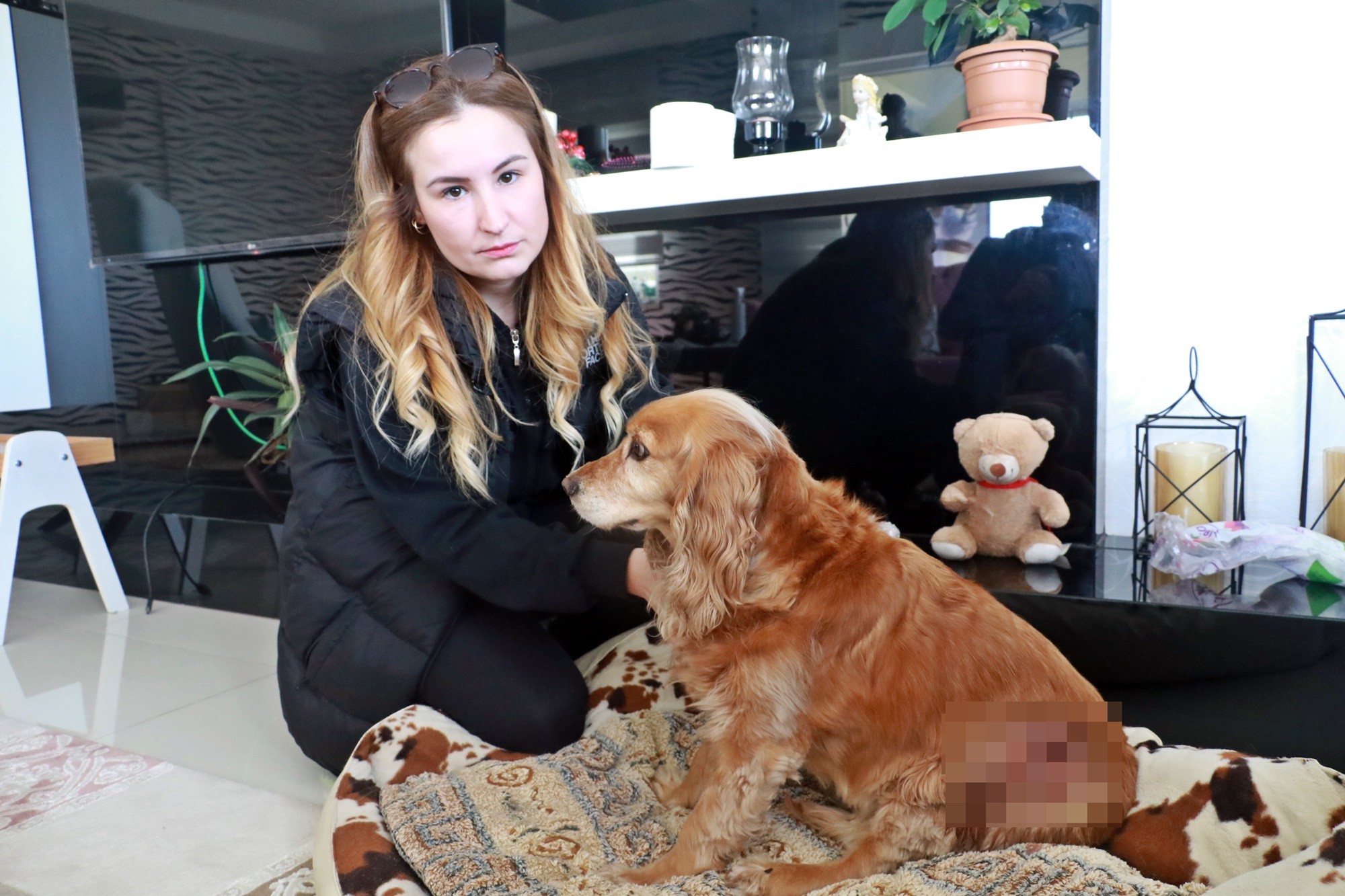 Antalya’da yasaklı cins sokak köpeği, genç kadın ve köpeğine dehşeti yaşattı