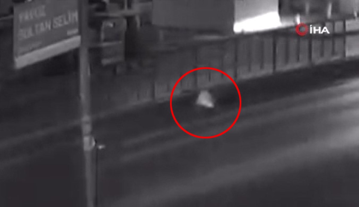 Kırmızı ışıkta yolun karşısına geçmek isteyen kadına otomobil çarptı