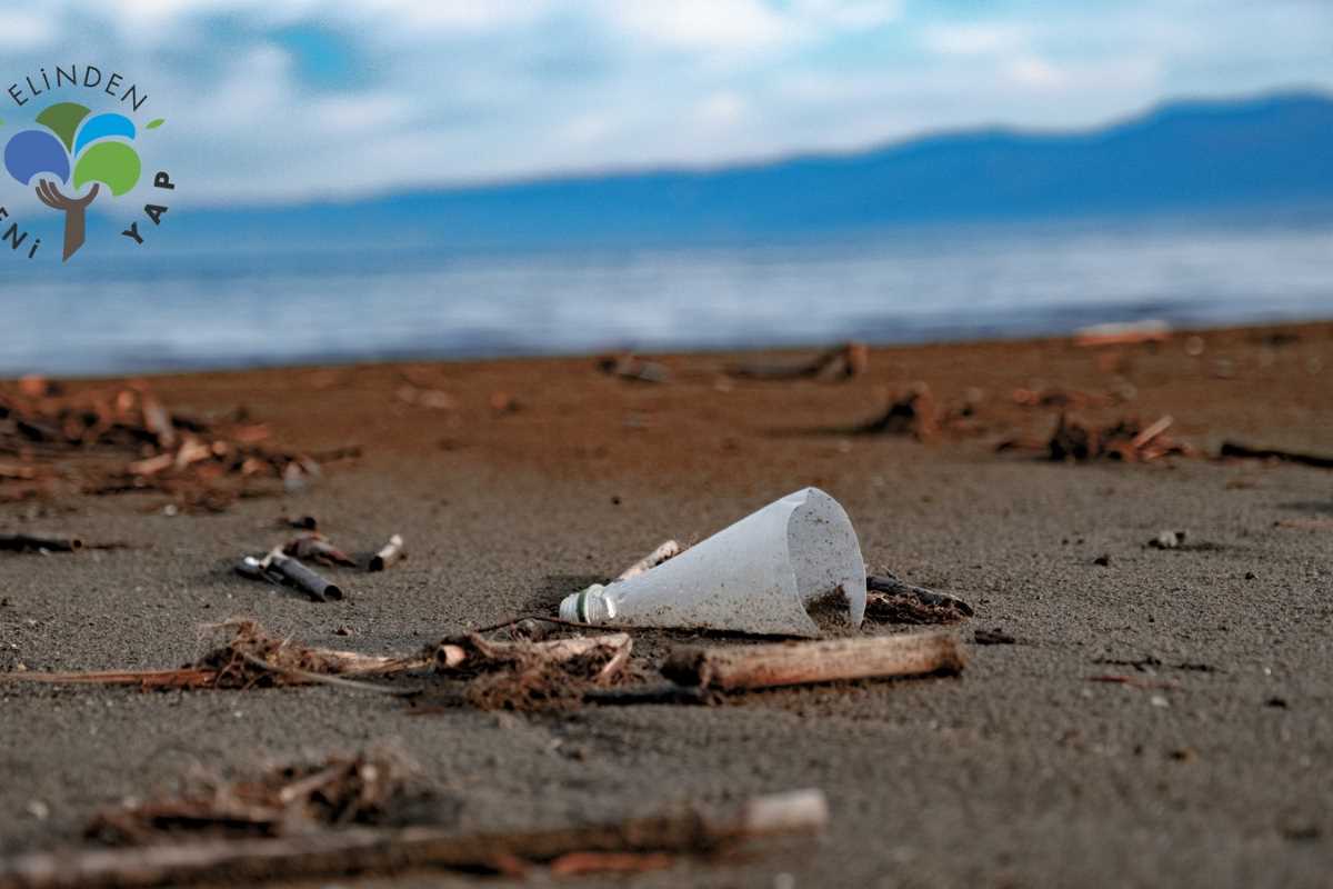 İznik Gölü kuruyor! Belgesel ile tehlikeye dikkat çekti...