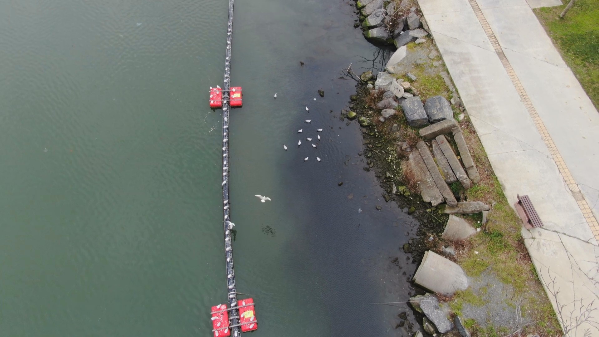 Haliç'te korkutan görüntü