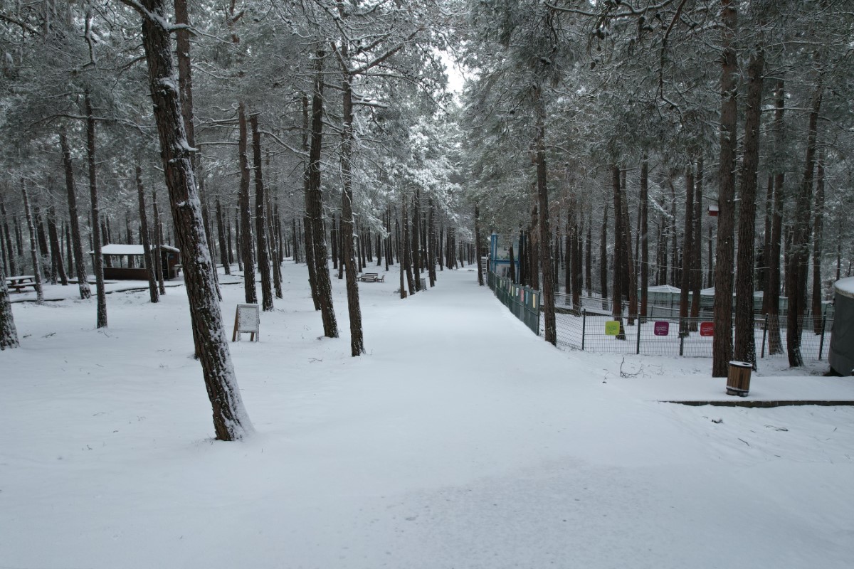 Şamlar Tabiat Parkı’nda oluşan kartpostallık manzara havadan görüntülendi