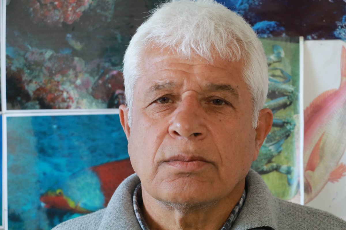 Yüzlerce denizanası kıyıya vurdu, profesör uyardı: 'Yakınına yaklaşmayın ve dokunmayın'