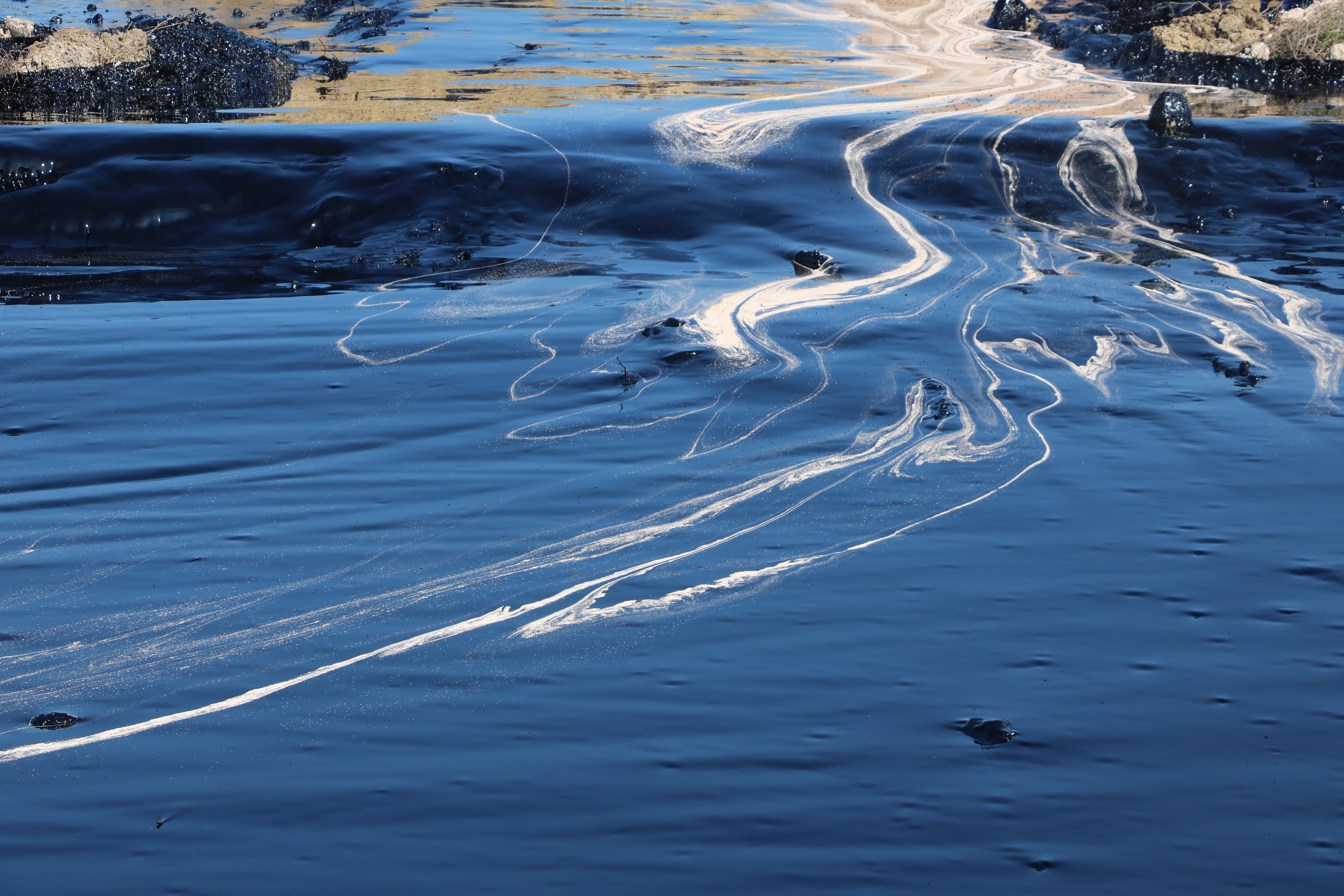 Edirne’de çevre katliamı: Tonlarca zift çevreye yayılıyor