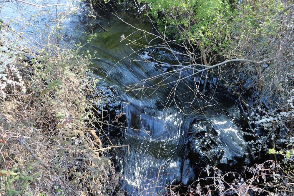 Edirne’de çevre katliamı: Tonlarca zift çevreye yayılıyor