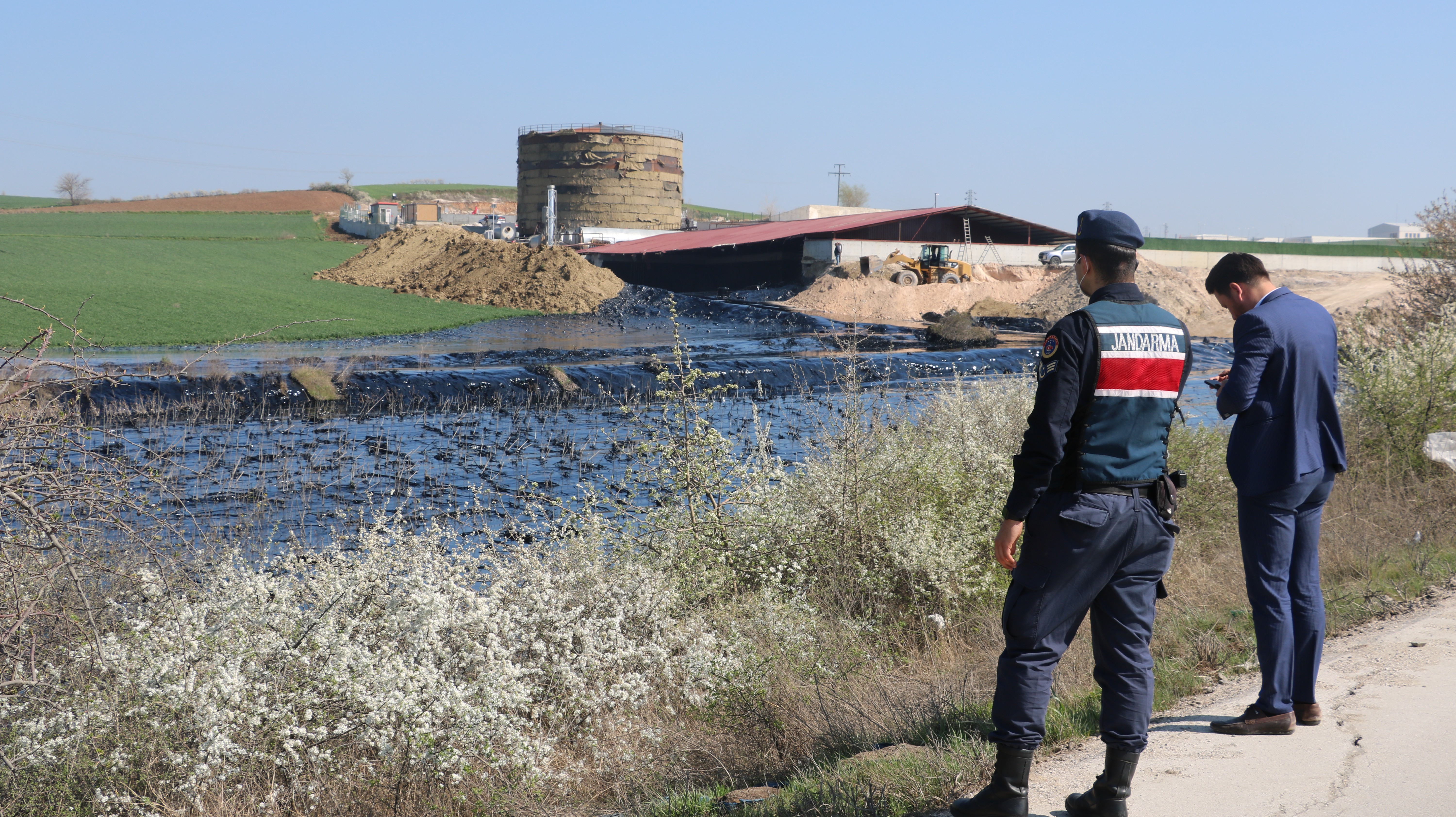 Edirne’de çevre katliamı: Tonlarca zift çevreye yayılıyor