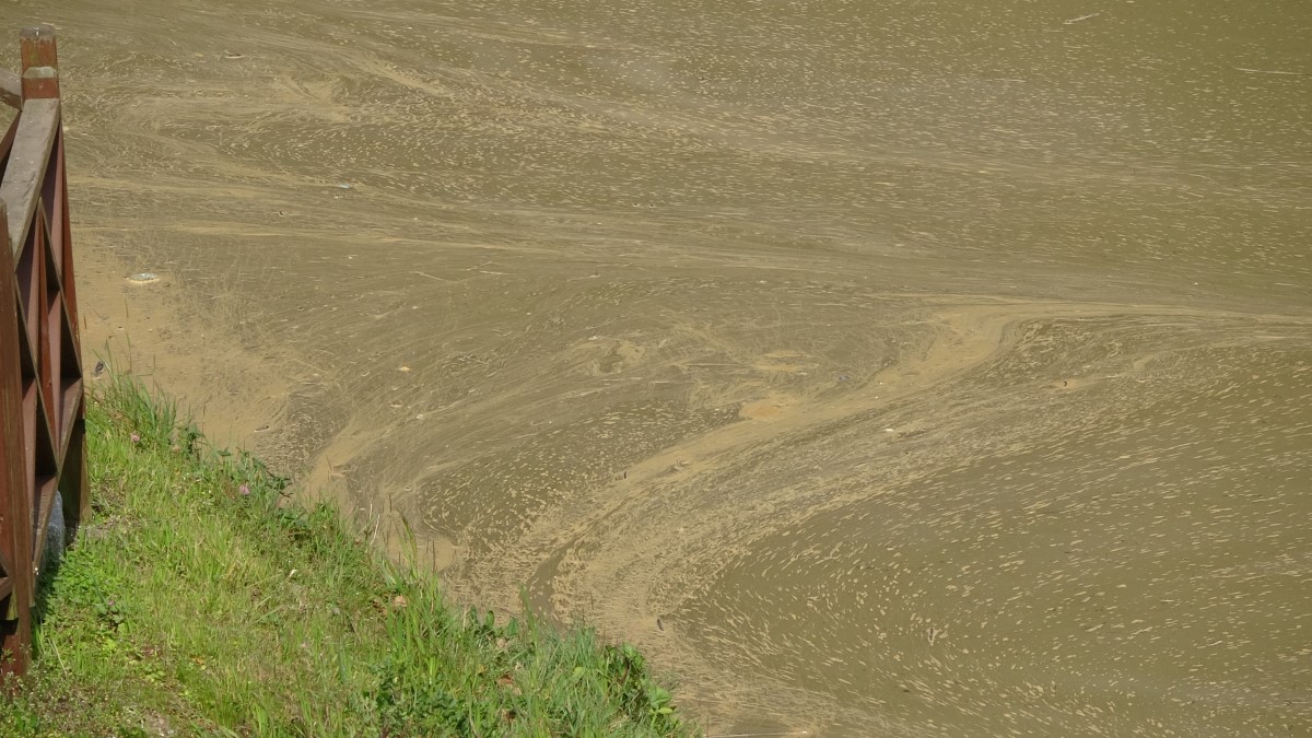 Sera Gölü, 'Çamur Göl' oldu