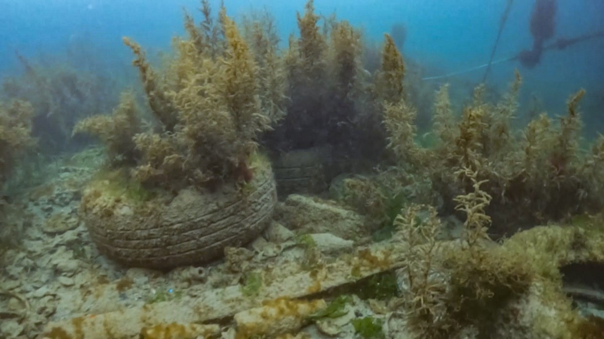 İstanbul Boğazı’nda gönüllü temizlik: Su altı dronu kirliliğin boyutunu görüntüledi