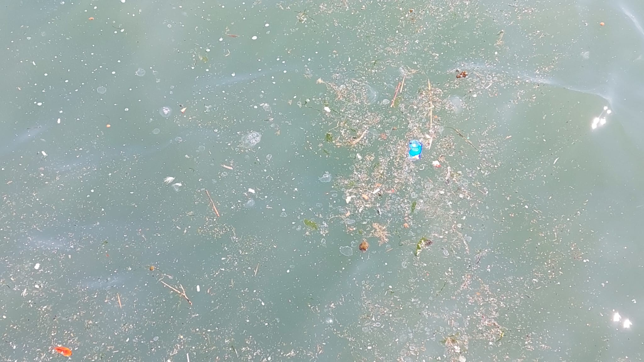 Yağmur suyu hattına kanalizasyon atıklarının karışması sebebiyle denize pislik akıyor