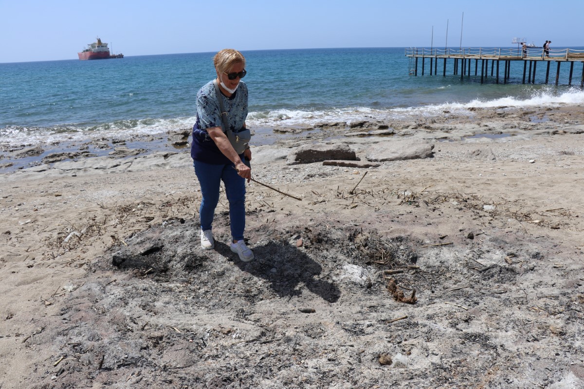 Koparmanın cezası 120 bin TL olan kum zambakları koparılarak yakıldı