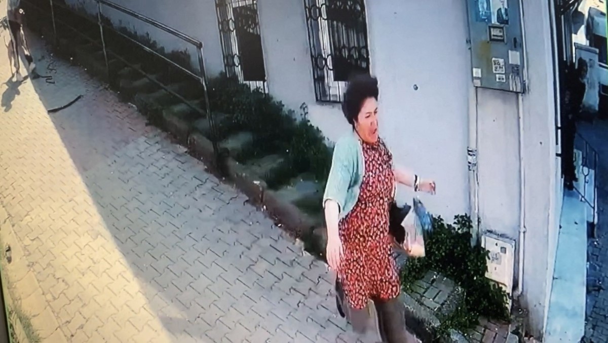 İstanbul’da korku dolu pitbull saldırısı kamerada