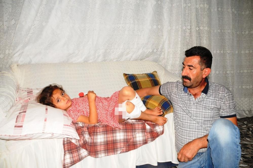 Başıboş köpeğin saldırısına uğrayan 5 yaşındaki çocuk yaralandı