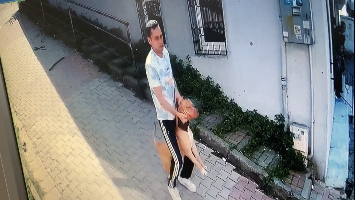 İstanbul’da korku dolu pitbull saldırısı kamerada