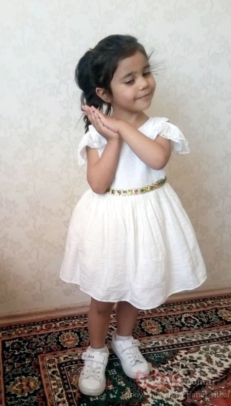 Asiye'ye pitbull saldırısı davasında tutuklu sanık kalmadı