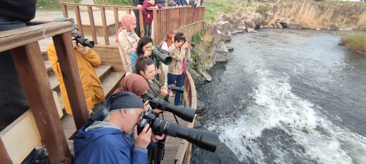 İnci kefalinin muhteşem yolculuğu devam ediyor