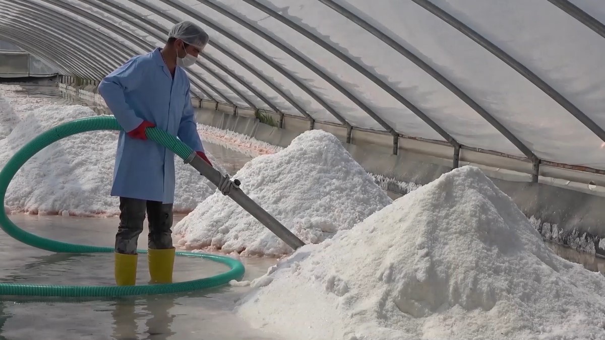 Mineral deposu Delice tuzu dünya sofralarında