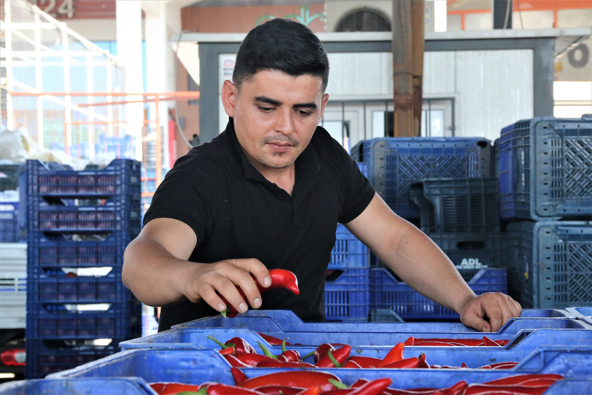 Antalya halinde sebze fiyatları yarı yarıya düştü