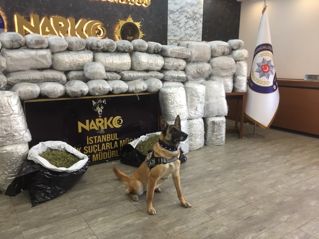 Uyuşturucu deposuna baskın: 250 kiloya yakın Hint keneviri ele geçirildi