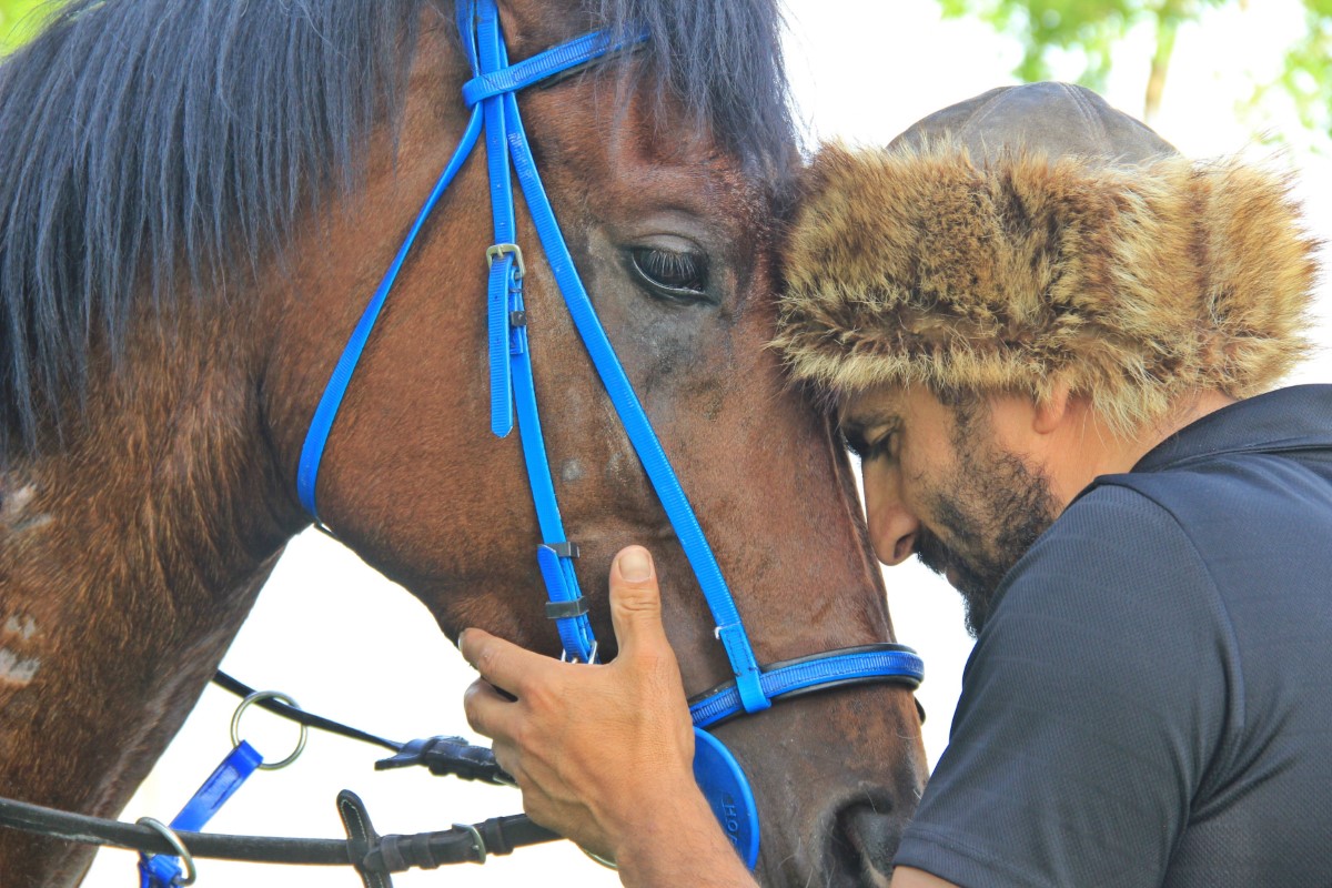 İşe atla gidiyor, sokakları onunla turluyor