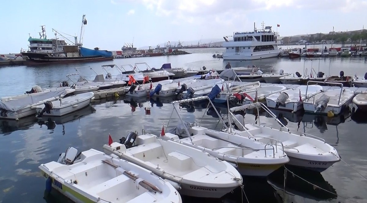 Balıkçıların sevimli ortakları