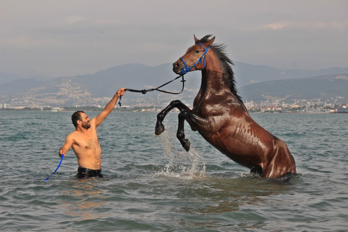 İşe atla gidiyor, sokakları onunla turluyor
