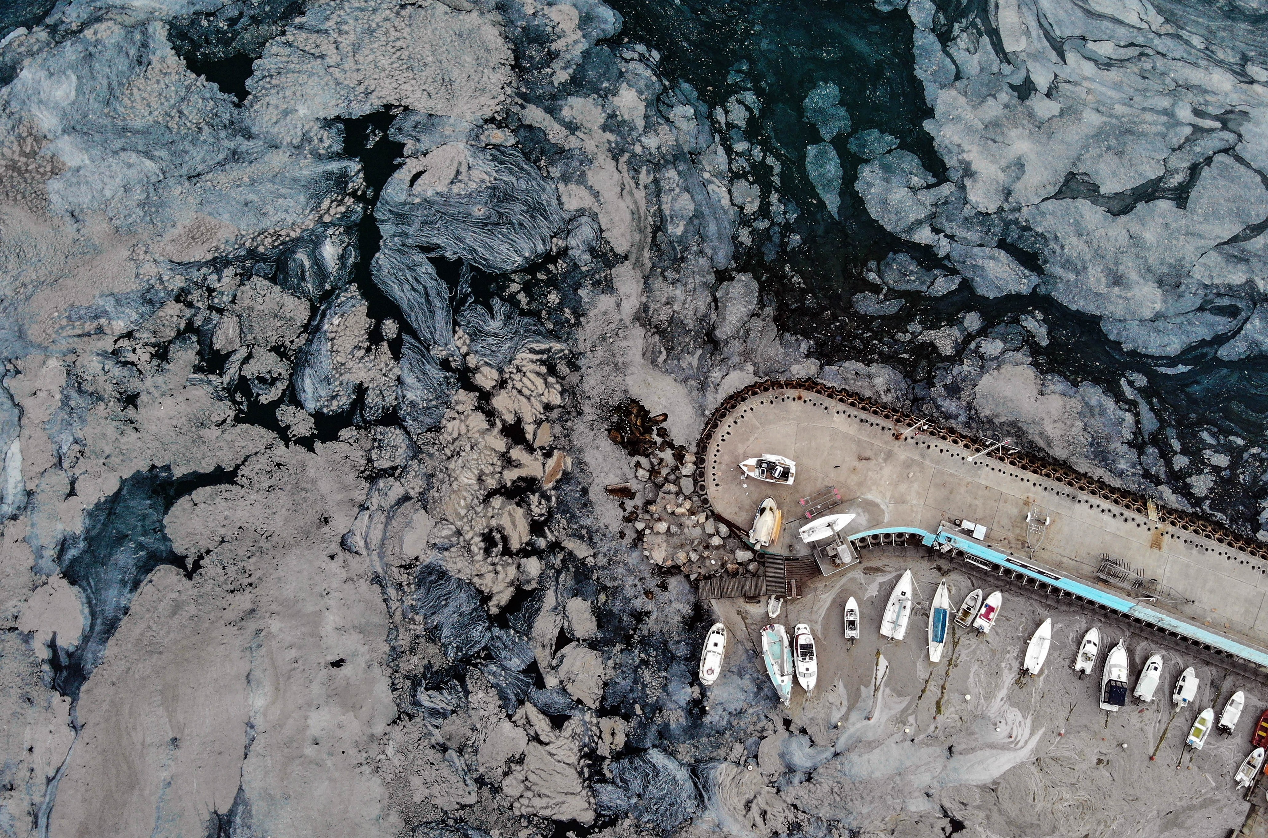 Cumhurbaşkanı Erdoğan’dan İHA foto muhabiri İsmail Coşkun'a birincilik ödülü