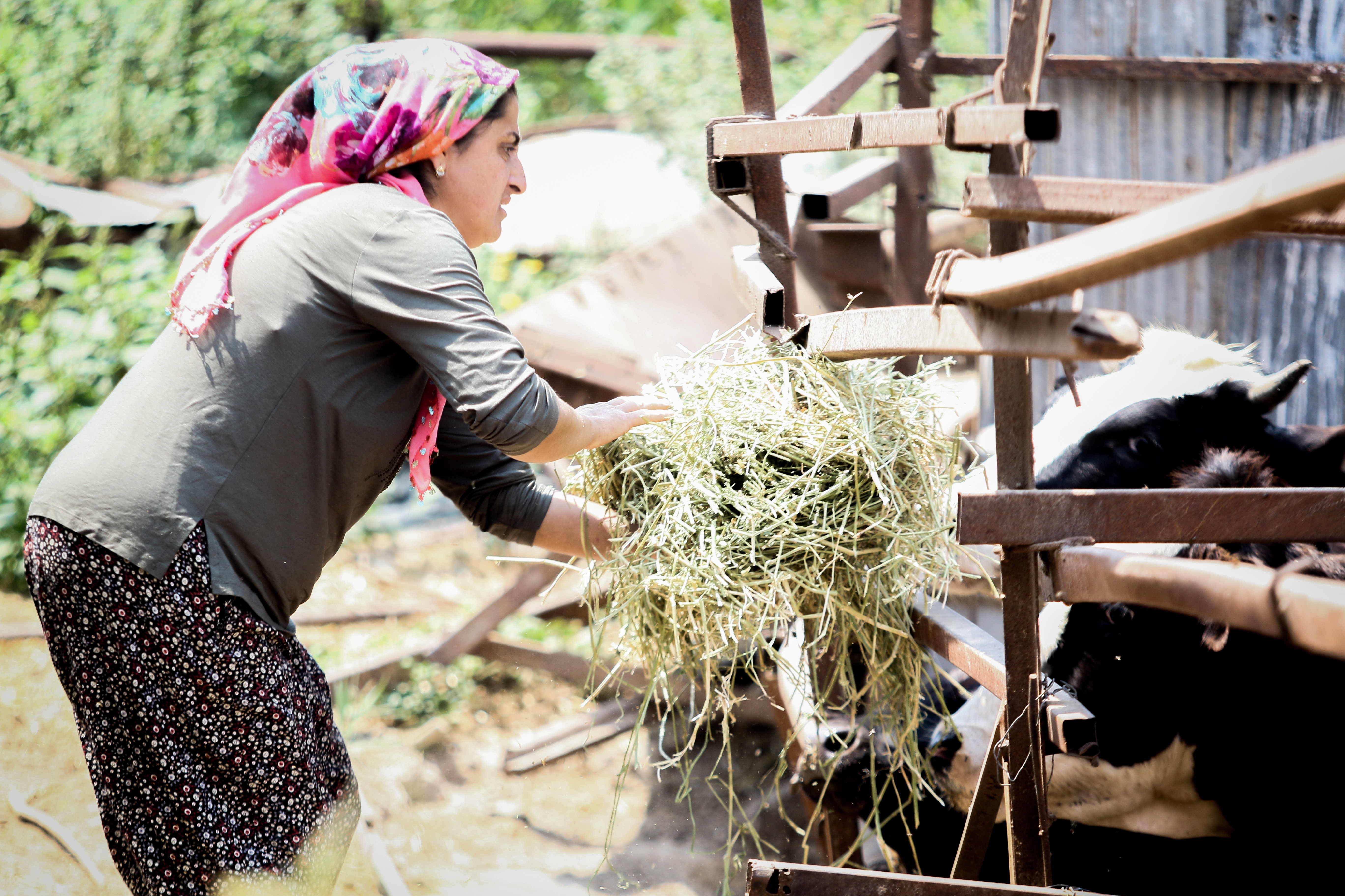 Evde canı sıkılan kadın hayvancılık işine girip 15 yılda servet sahibi oldu