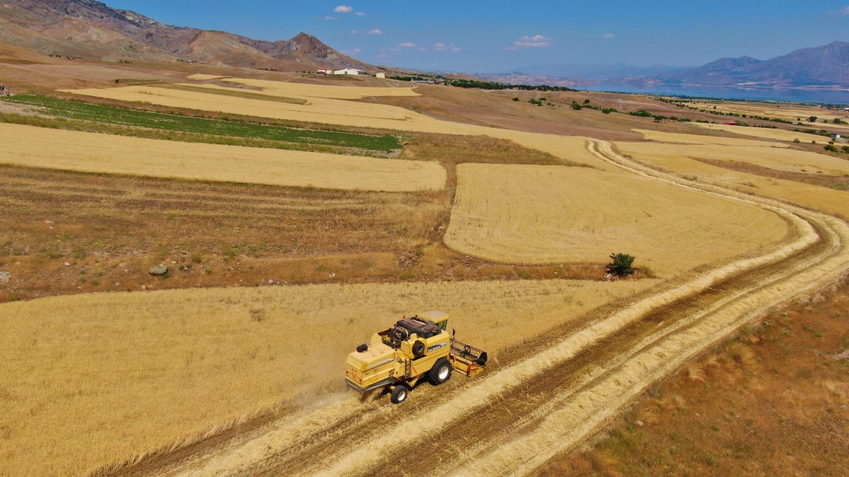 Elazığ’da yılın ilk arpa hasadı gerçekleştirildi