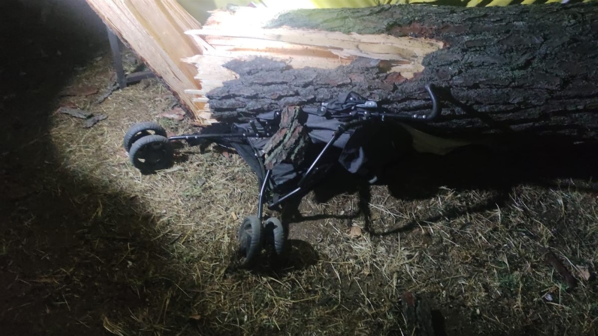 Tonlarca ağırlığındaki çam ağacı ailenin üzerine devrildi