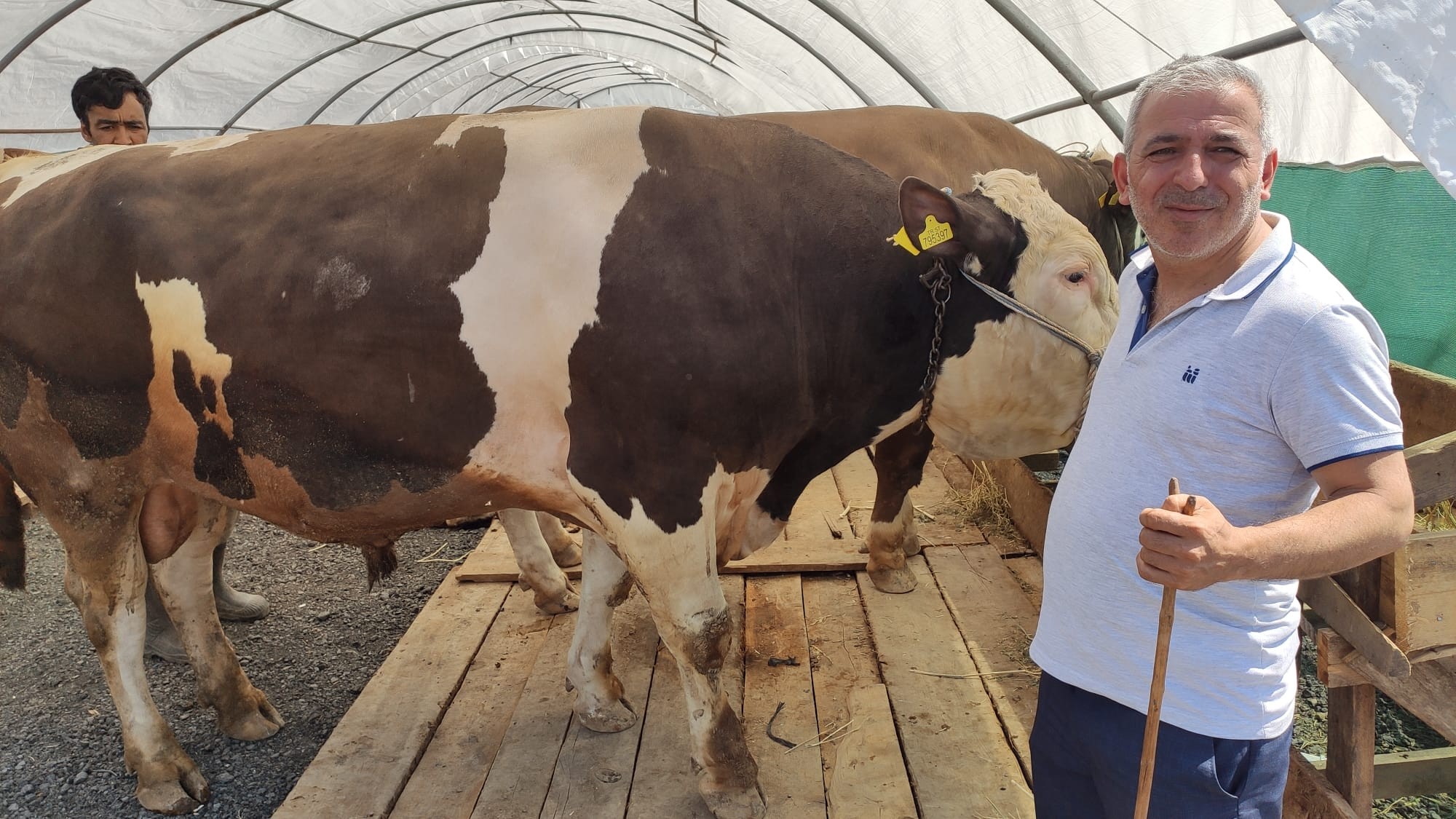 Sultangazi'de kurban pazarı kuruldu