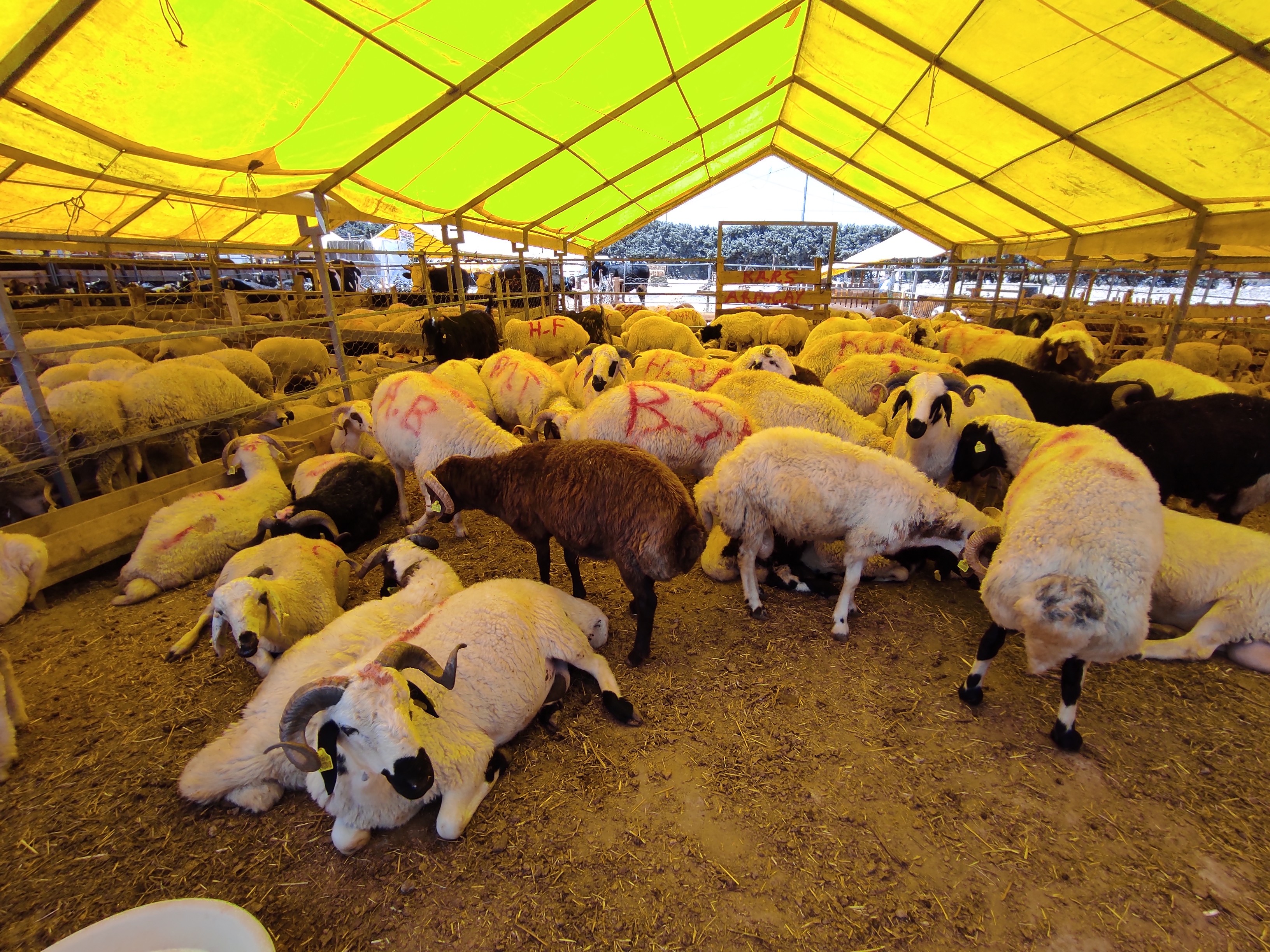 Kurban pazarında 'bitti' yazıları asıldı