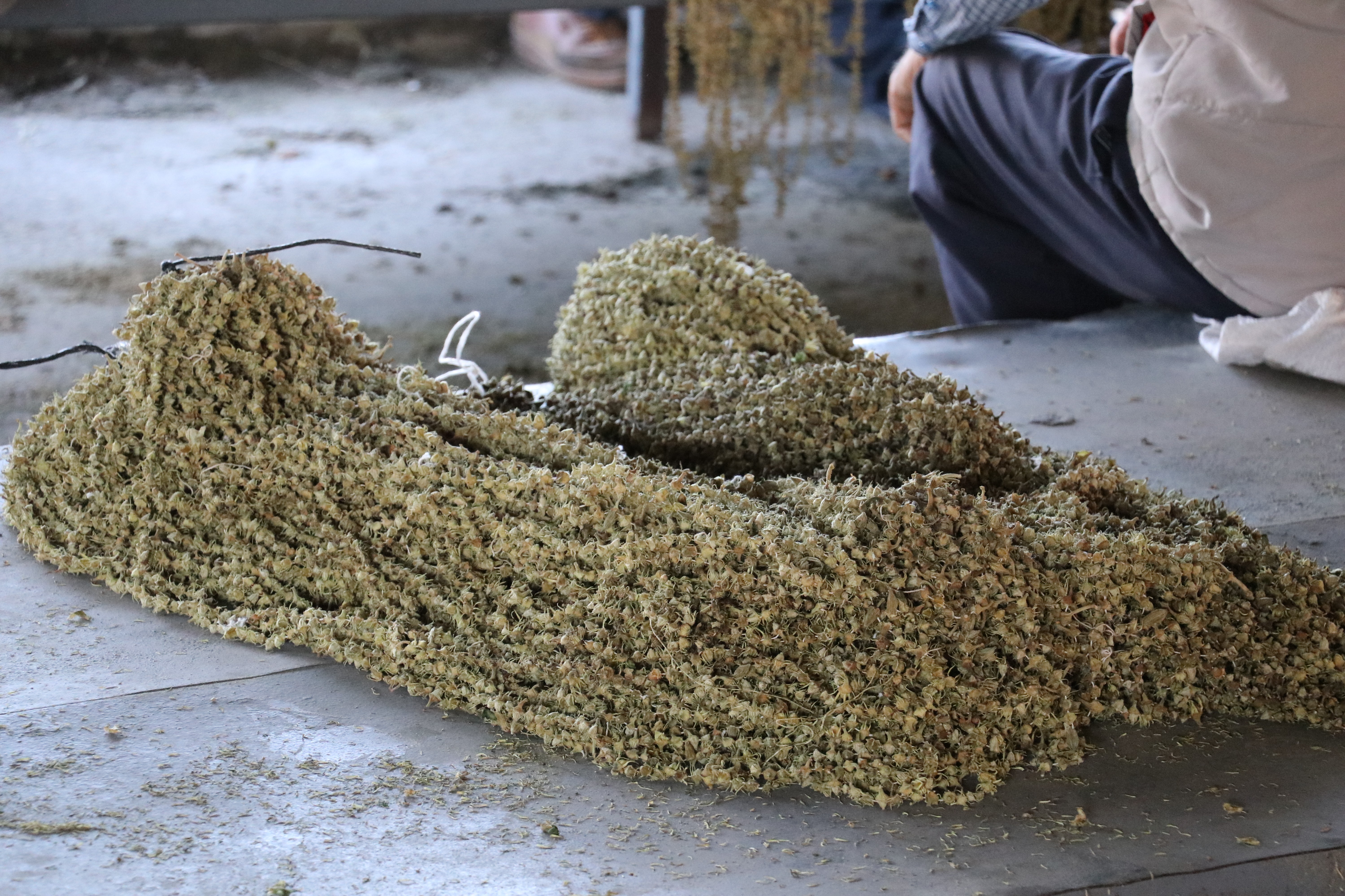 Coğrafi işaretli düğün takısı