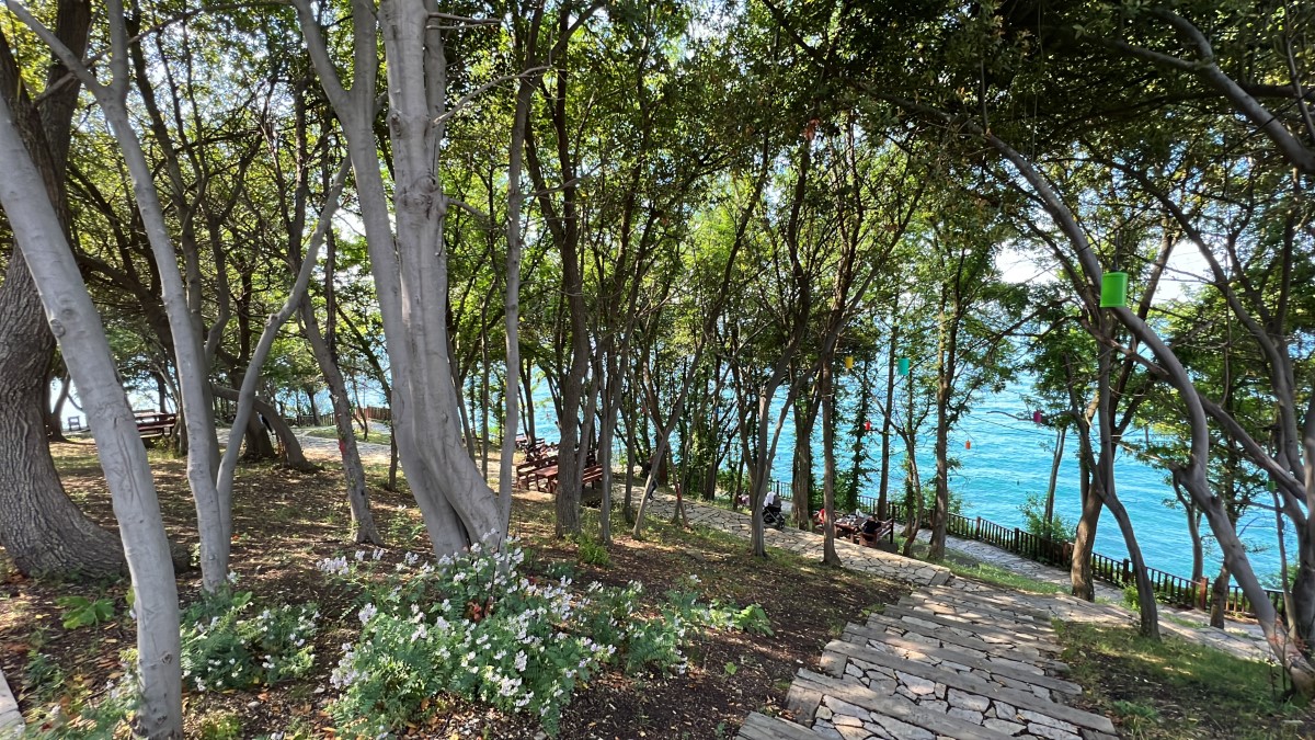 Asırları geride bırakan Ceneviz Kalesi'ne ziyaretçi akını