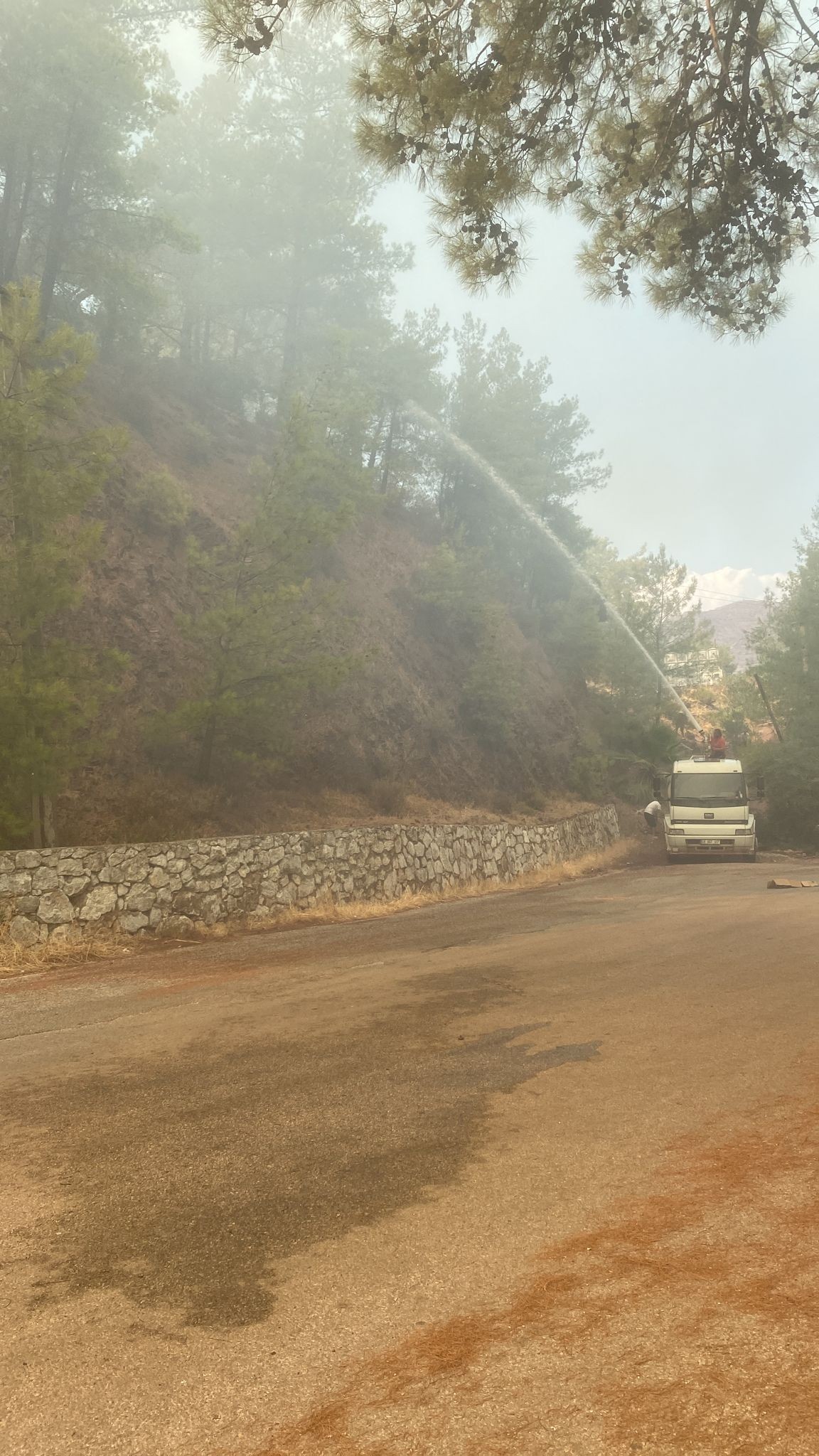 Marmaris’te yangın yıl dönümünde yine orman yangını