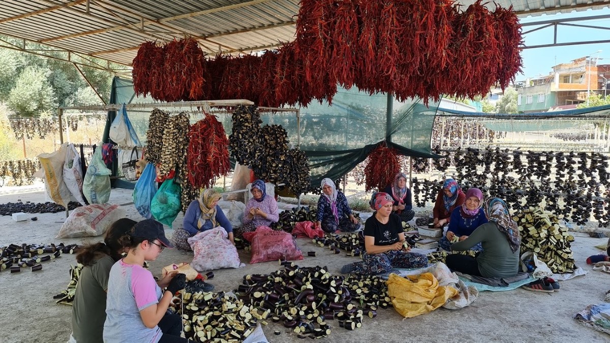 Nazilli’den dünyaya doğal lezzet: Kurutulmuş patlıcan