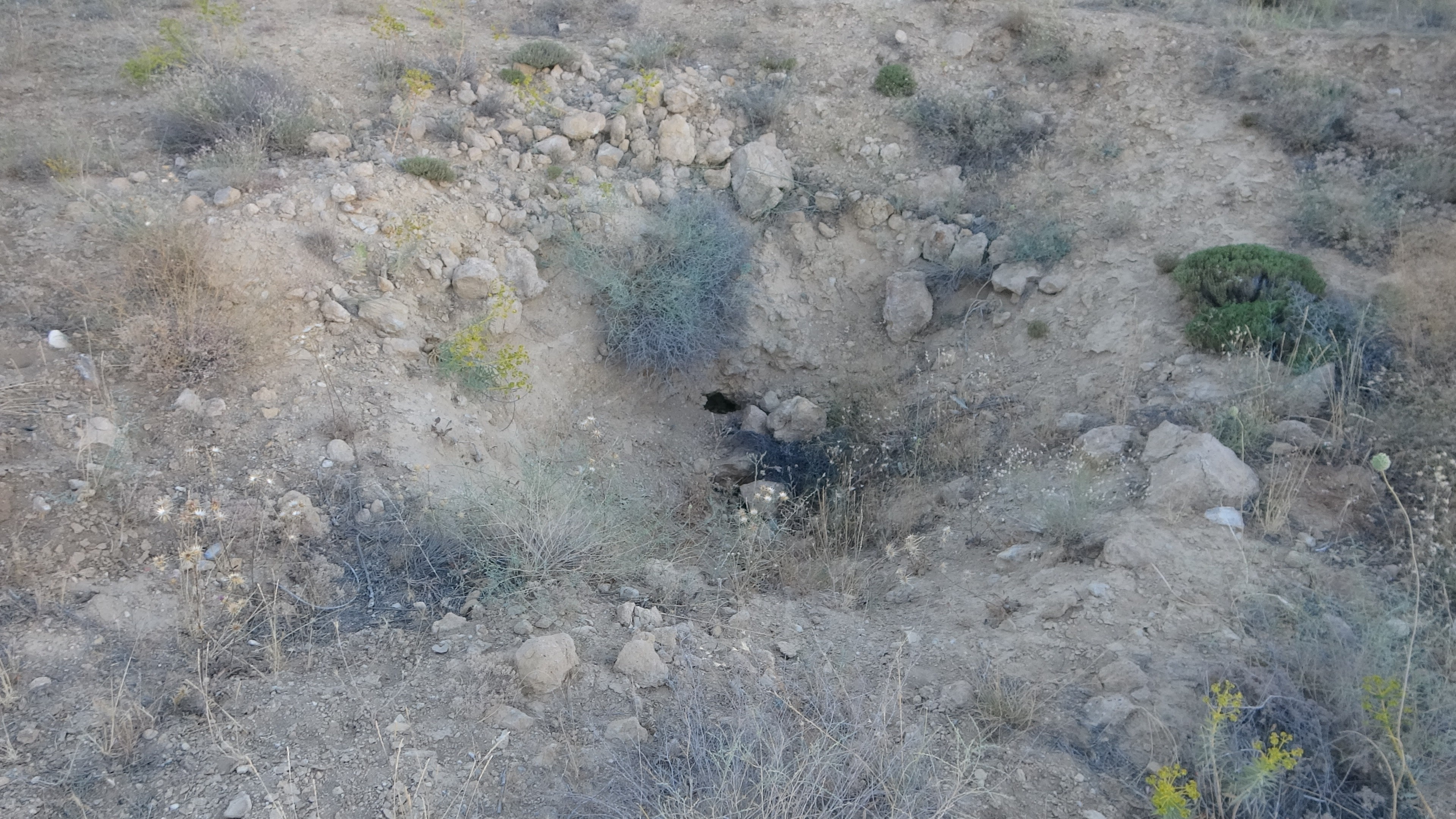 ‘Altında altın var’ söylentisi höyüğü savaş alına çevirdi