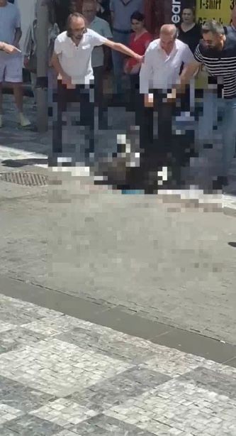 Kadıköy’de köpek saldırısı: Köpeğin sahibine para cezası yağdı