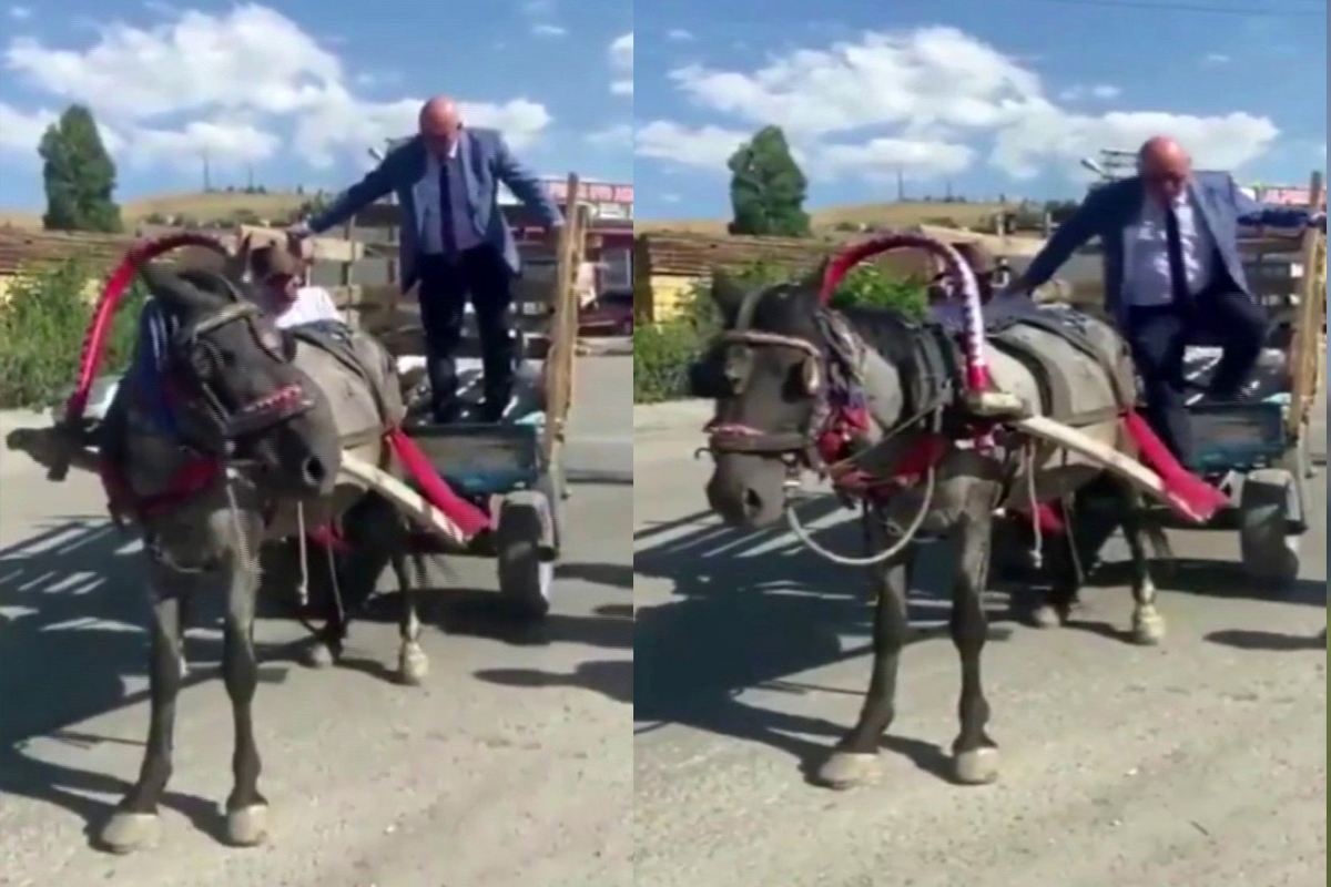 Sosyal medyada gündem olan at arabacısı İHA'ya konuştu